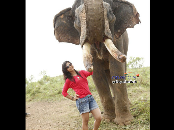 Amoolya To Romance Suraj Gowda!