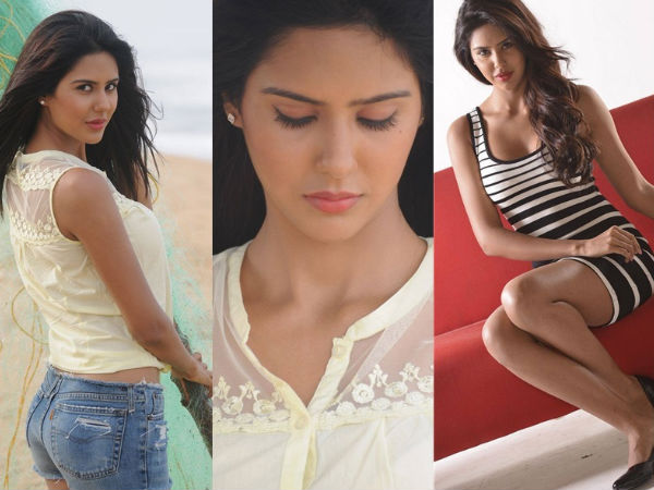 Sonam Bajwa To Share Space With Puneeth Rajkumar 