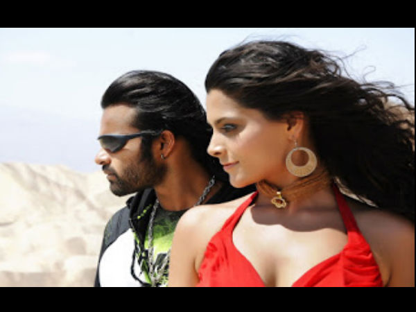 First Dong First Dong