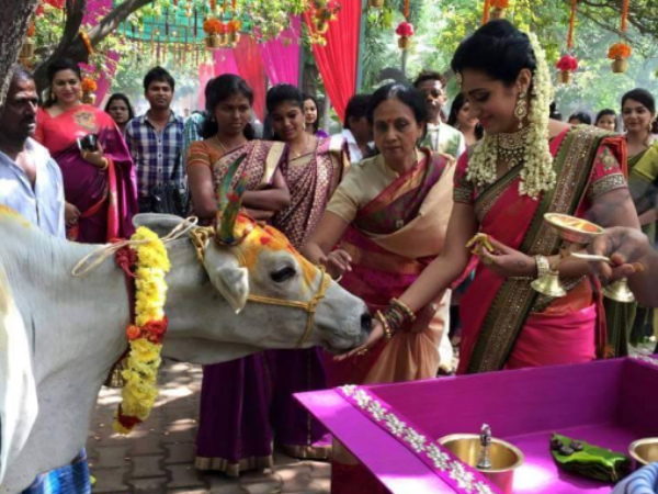 Trisha's Love For Animals