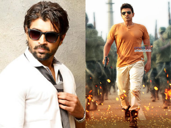 'Yennai Arindhaal' Fame Arun Vijay To Debut In Sandalwood As Puneeth's Villain! 'Yennai Arindhaal' Fame Arun Vijay To Debut In Sandalwood As Puneeth's Villain!