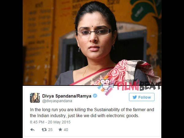 Ramya Is All Set To Take Up Political Career Soon! 