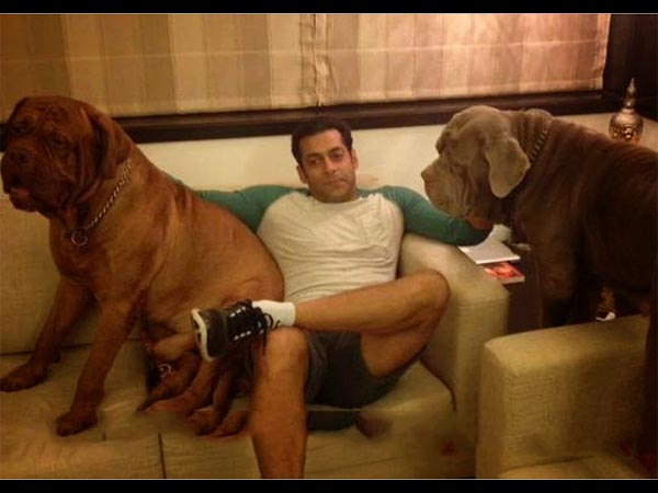 Salman With His Dogs