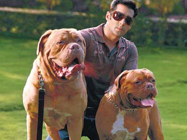 Salman Clicked With His Dogs