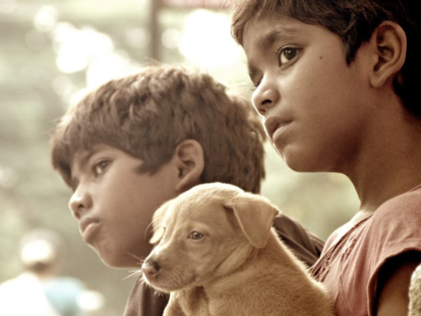 Surendhar MK ‏@MadrasBachelor