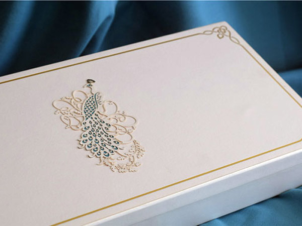 Ravish Kapoor Ravish Kapoor