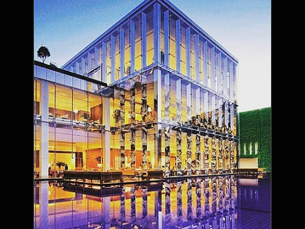 Shahid Wedding Shahid Wedding