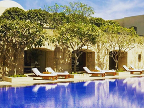 Shahid Wedding Shahid Wedding