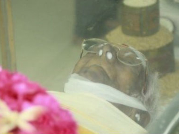 MSV Forever MSV Forever