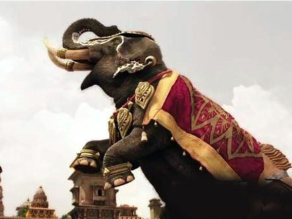 Box Office Success Box Office Success