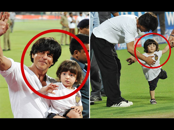 Cricket Stadium Cricket Stadium