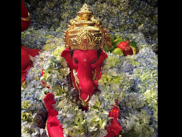 Eco Friendly Eco Friendly