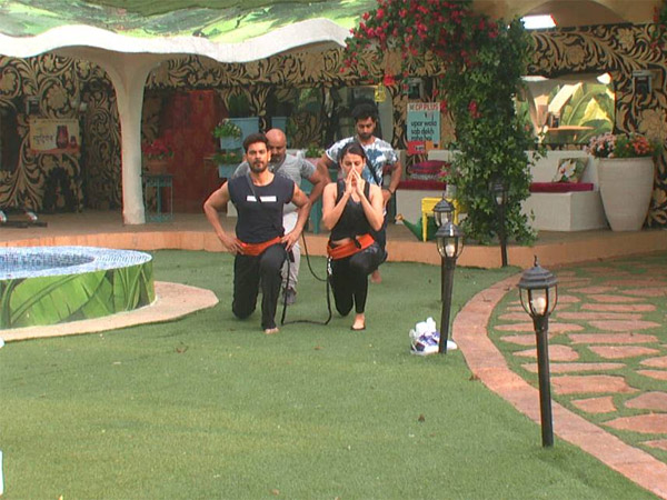 Housemates Performing Yoga Housemates Performing Yoga