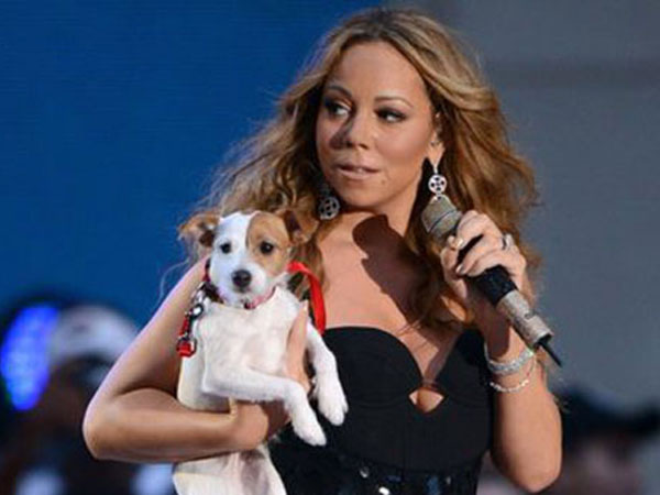 Mariah Carey With One Of Her 3 Dogs 