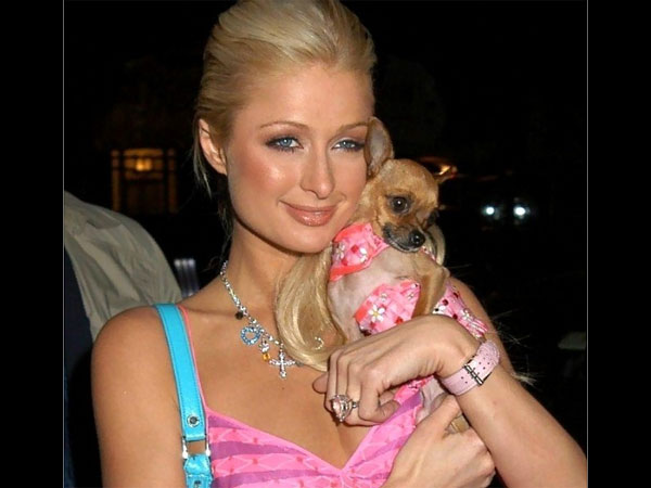 Paris Hilton's Pup Tinkerbell 