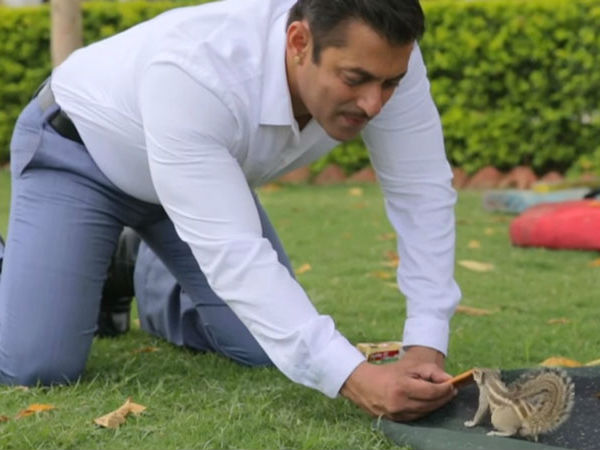 Feeding A Squirrel Feeding A Squirrel