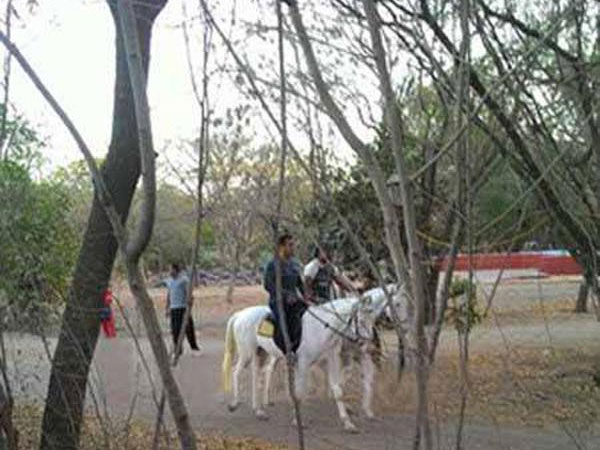 Enjoying Horse Ride Enjoying Horse Ride