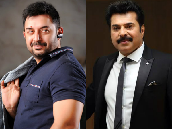 WOW! Mammootty And Arvind Swamy To Share The Screen Again? WOW! Mammootty And Arvind Swamy To Share The Screen Again?