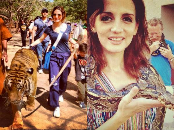 Animal Lover Animal Lover