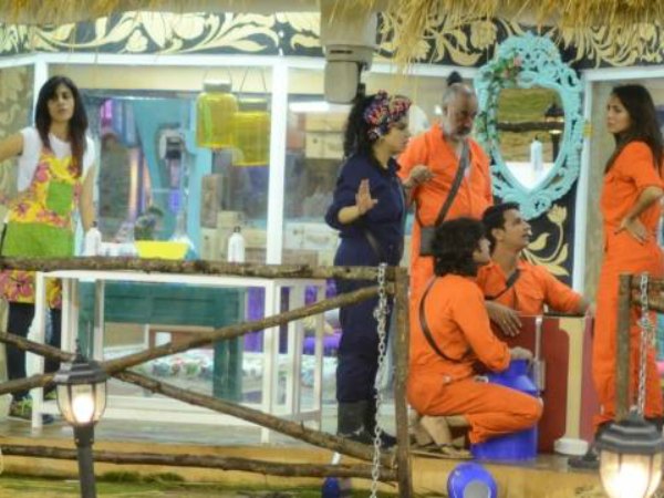 Bigg Boss Dairy