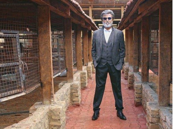 Speculations Galore Speculations Galore