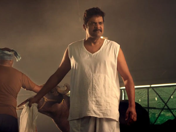 MLA Manikanta MLA Manikanta