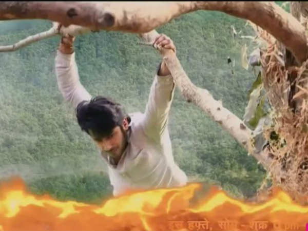 Lakshya Hangs On A Tree Branch Lakshya Hangs On A Tree Branch