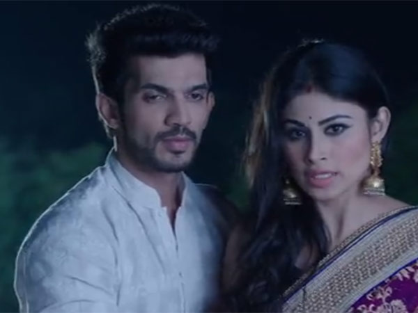 Ritik-Shivanya's Love Ritik-Shivanya's Love