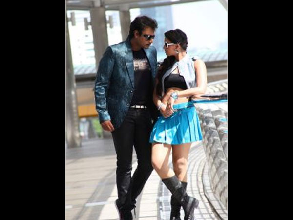 Dashing Looks Dashing Looks