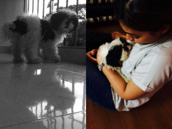 With Darling Puppy Oreo With Darling Puppy Oreo