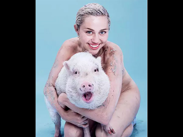 Much Love For Green: These Vegan Hollywood Celebs Will Surely Inspire You! Much Love For Green: These Vegan Hollywood Celebs Will Surely Inspire You!