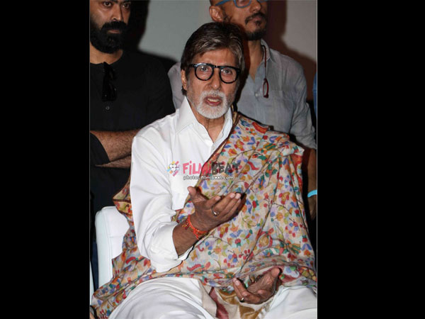 Amitabh On Pink's Response