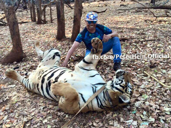 Peter Hein's Stunt Choreography