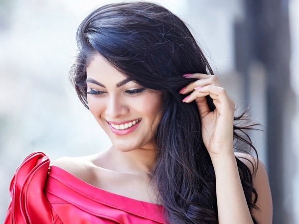 big boss 10 contestants big boss 10 contestants