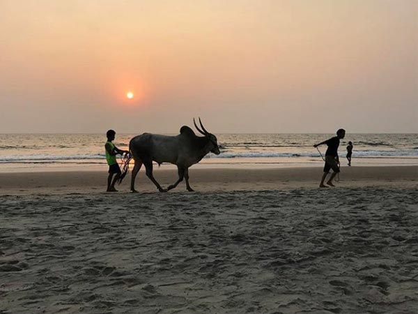 The Indian Holiday The Indian Holiday