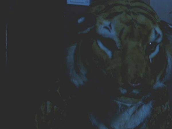 Tiger In The Farmhouse