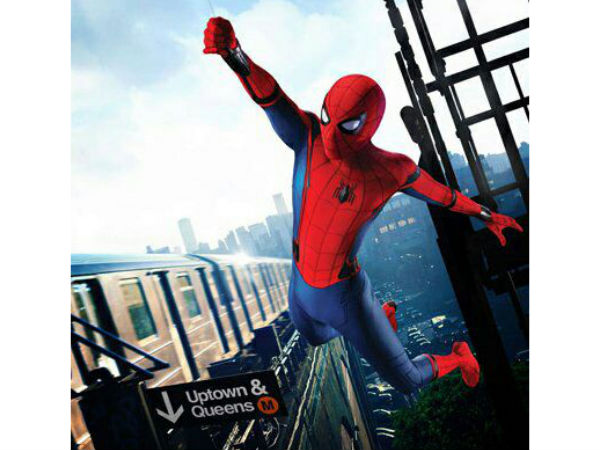 Huge Fan Following Huge Fan Following