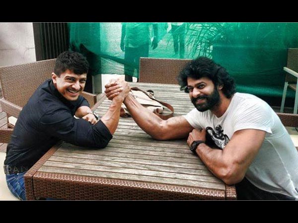 He Is Also Reading Scripts From Bollywood He Is Also Reading Scripts From Bollywood