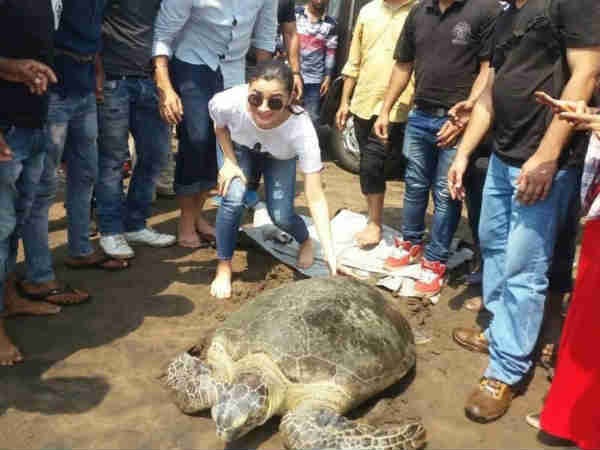 Alia Sends It Back To Its Home