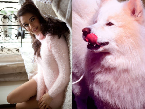 No Animal Tested Cosmetics No Animal Tested Cosmetics