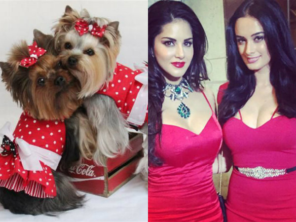 Spreading Kindness Spreading Kindness