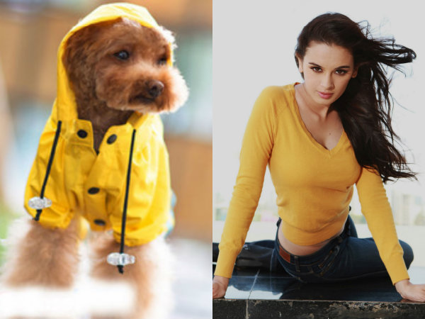 But First, Education! But First, Education!