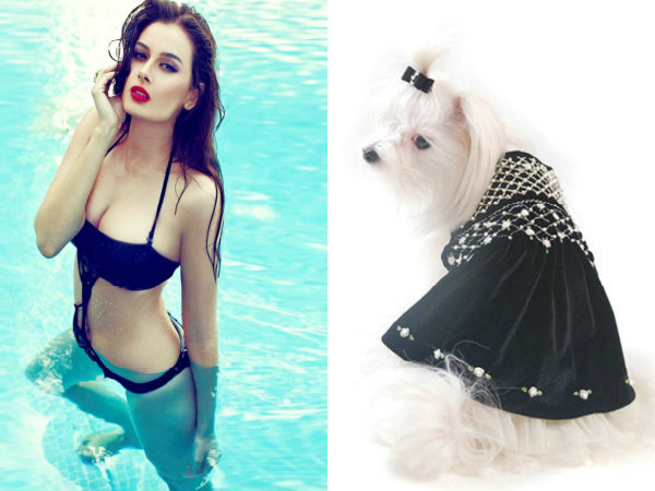 Follow Evelyn's Kindness! Follow Evelyn's Kindness!