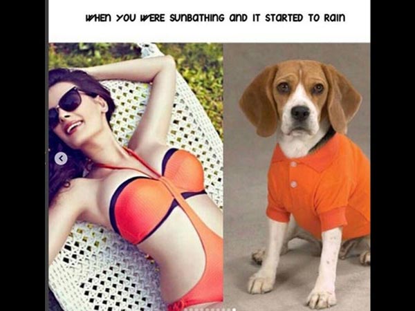 What A Fun! What A Fun!