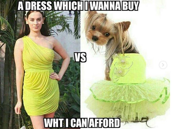 Memes Galore Memes Galore