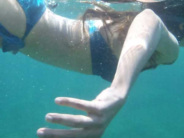 Italian Holiday Italian Holiday