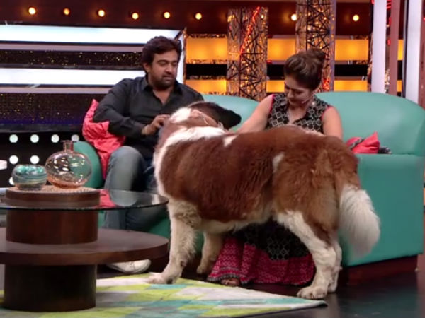 meghana raj boyfriend