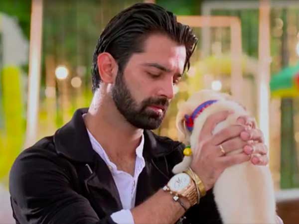 Anisa~sageflower7~ @zaniamorph7