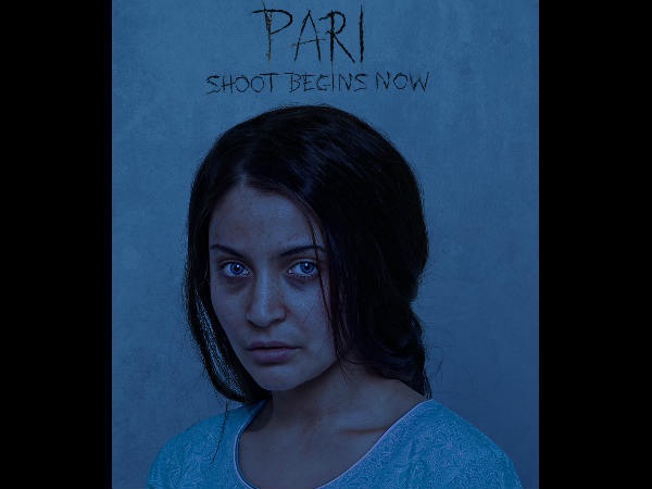 The First Look Of Pari