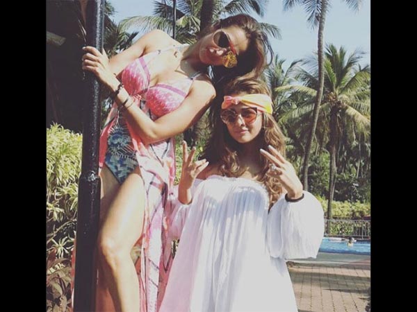 Funny Antics! Funny Antics!